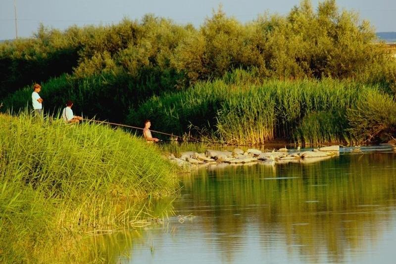 La pescuit, Foto: USER UPLOADED