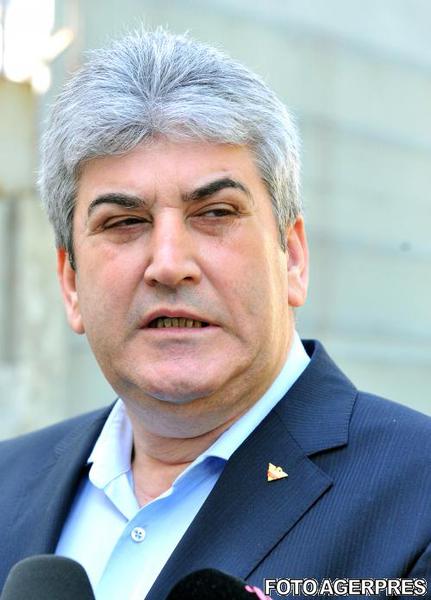 Gabriel Oprea, Foto: Agerpres
