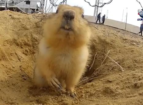 Vreau intimitate, Foto: Captura 220.ro