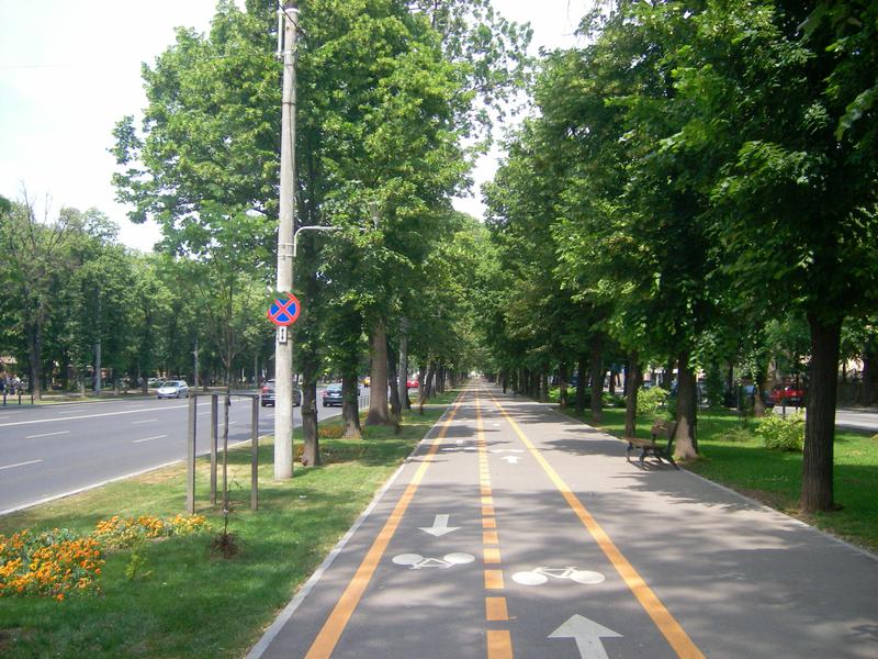 Bulevardul Aviatorilor , Foto: Ordinul Arhitectilor Bucuresti