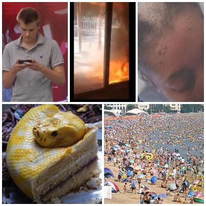 FAZE TARI, Foto: Colaj foto