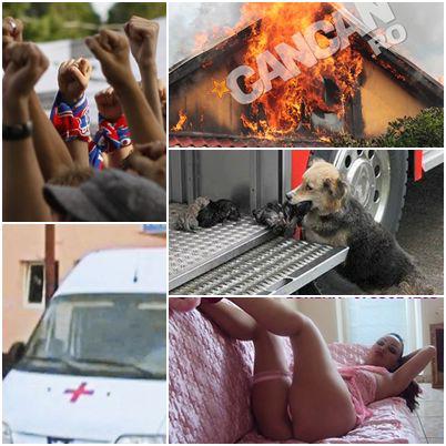 O lume nebuna, Foto: Colaj foto