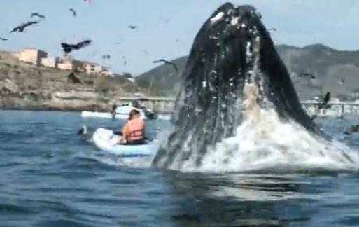 O priveliste de neuitat, Foto: Trilulilu