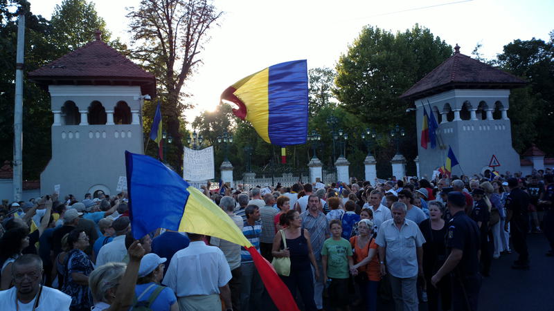 Protest la Palatul Cotroceni, Foto: Hotnews