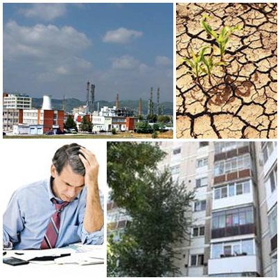 Business report, Foto: Colaj foto