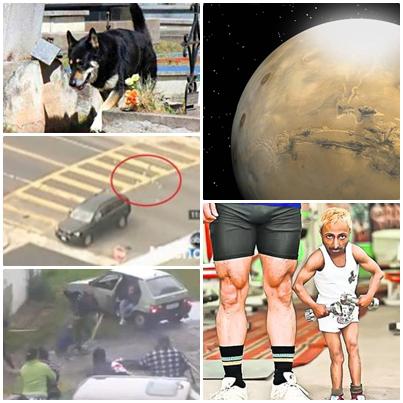 O lume nebuna, Foto: Colaj foto