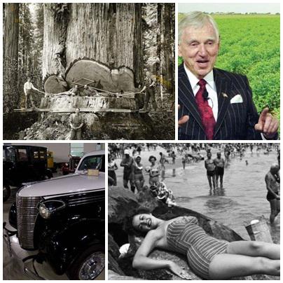 Faze tari, Foto: Colaj foto