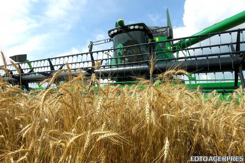 Campanie de recoltare 2012, Foto: AGERPRES