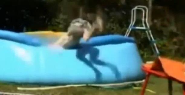 Saritura ratata, Foto: Captura 220.ro