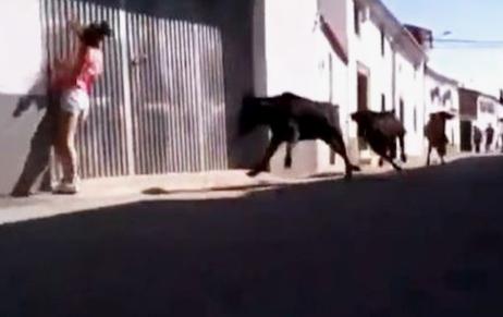 Cursa cu tauri, Foto: 220.ro