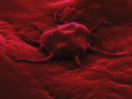 Celula canceroasa, Foto: Universitatea Liverpool