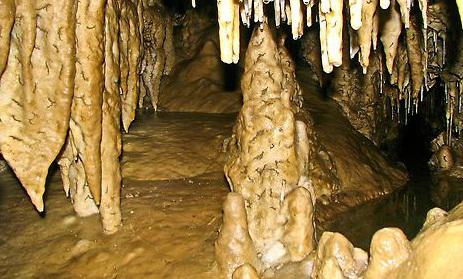 Stalagmite - Oregon, Foto: Oxford Analytica