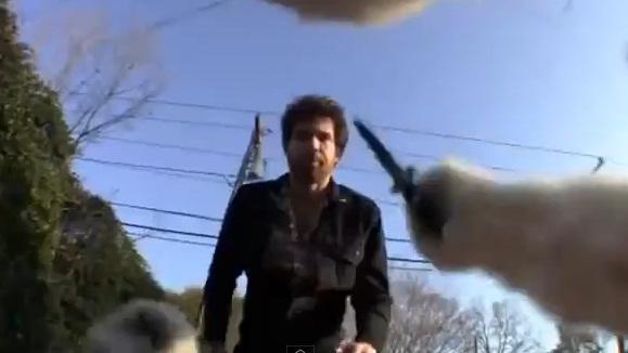 O zi din viata unei pisici, Foto: Captura 220.ro