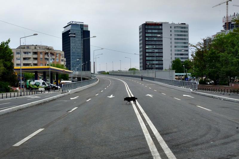 Marcaje rutiere pe soselele din Capitala, Foto: Hotnews