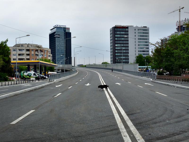 Marcaje rutiere pe soselele din Capitala, Foto: Hotnews