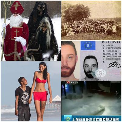 O lume nebuna, Foto: Colaj foto