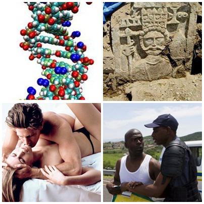 Faze tari, Foto: Colaj foto