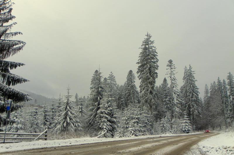 Vina iarna, Foto: USER UPLOADED