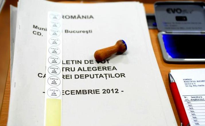 Alegeri parlamentare, Foto: Agerpres