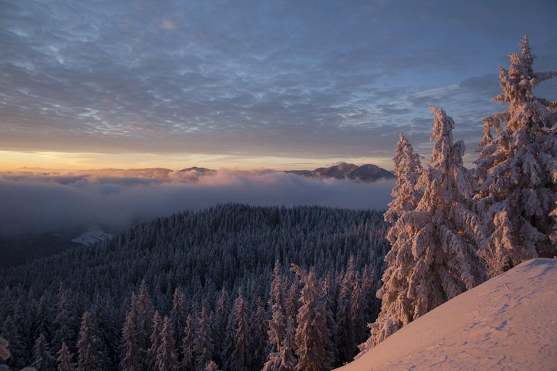 Varful Rarau, Foto: Radu Zofota