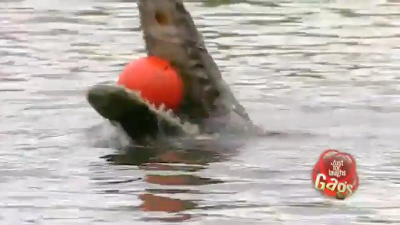 Farsa, Foto: Captura YouTube