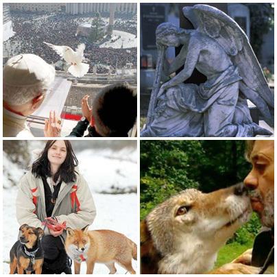 Faze tari, Foto: Colaj foto