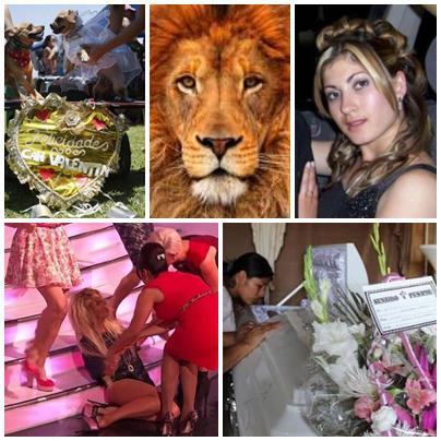 FAZE TARI, Foto: Colaj foto