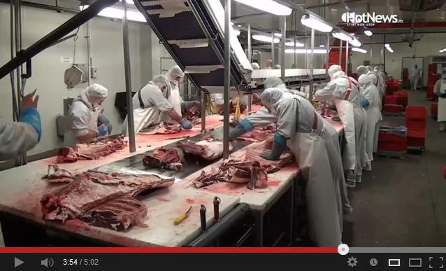 Abatorul din Botosani, Foto: Hotnews