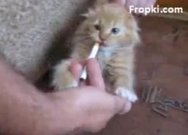 Fumator inrait, Foto: Captura YouTube