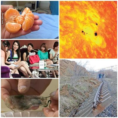 O lume nebuna, Foto: Colaj foto