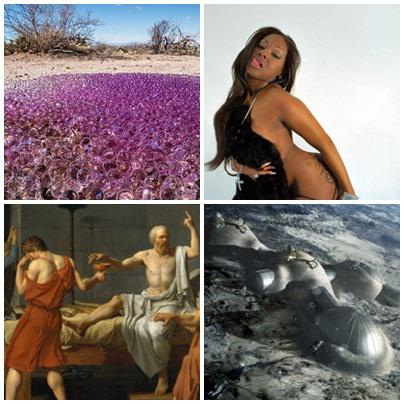 Faze tari, Foto: Colaj foto