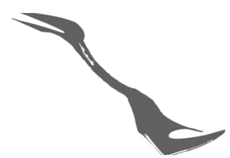 Fosila de pterozaur gasita in Ardeal, Foto: livescience.com