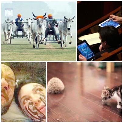 Faze tari, Foto: Colaj foto