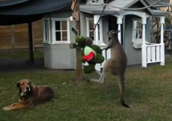 Suparat pe toata lumea, Foto: youtube.com