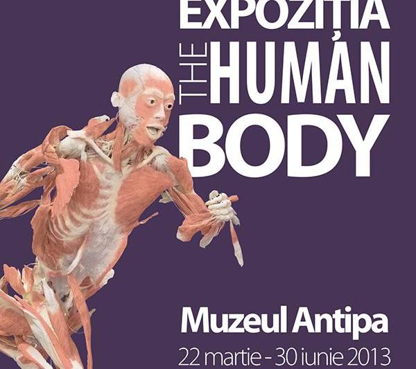 Afis expozitia The Human Body, Foto: antipa.ro