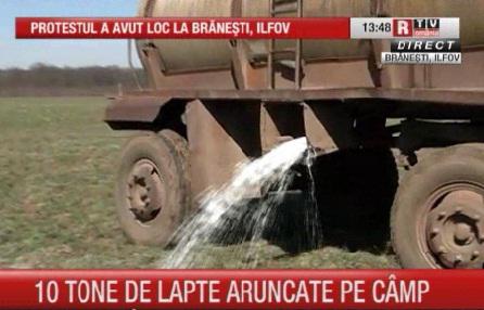 Lapte aruncat in camp, in semn de protest, Foto: captura ecran