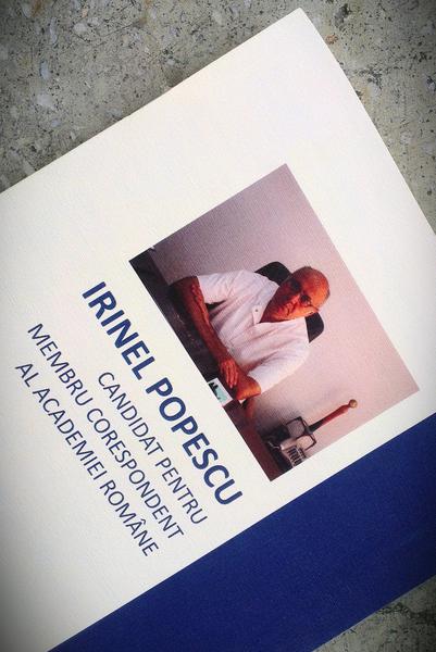 Pliantul cu candidatura lui Irinel Popescu, Foto: Hotnews