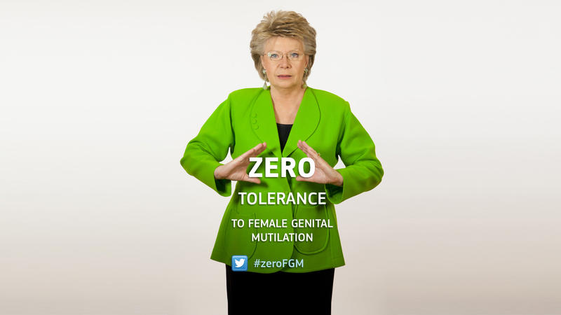 Viviane Reding, Foto: Comisia Europeana