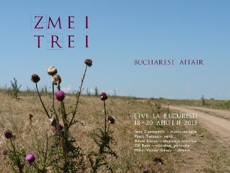 Poster Zmei Trei, Foto: