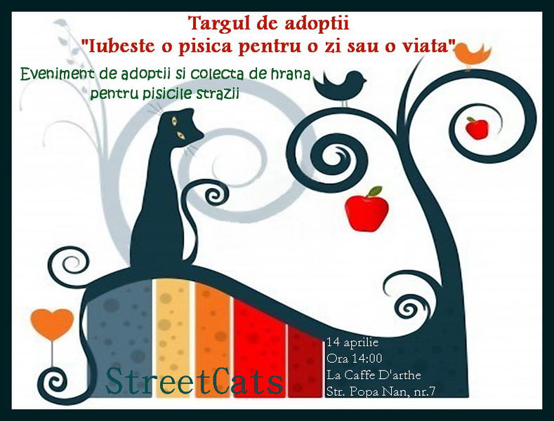 Iubeste o pisica pentru o zi sau o viata, Foto: Streetcats