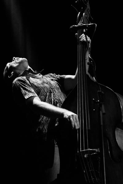 Avishai Cohen, Foto: Hotnews