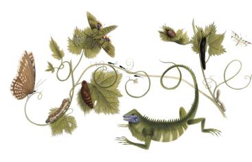 Logo Google, Foto: google.ro