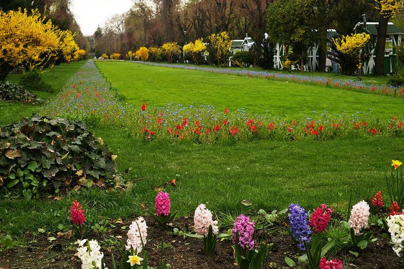 Parcul Cismigiu, Foto: Primaria Bucuresti