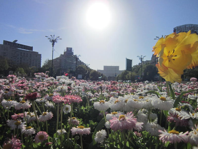 Zi caniculara, Foto: USER UPLOADED