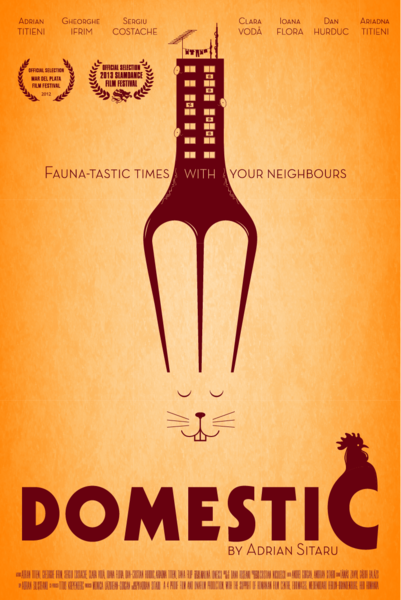 Afisul flimului Domestic, Foto: Hotnews