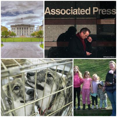 Subiectele Zilei, Foto: Colaj foto