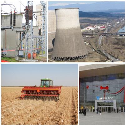 Business Report, Foto: Colaj foto