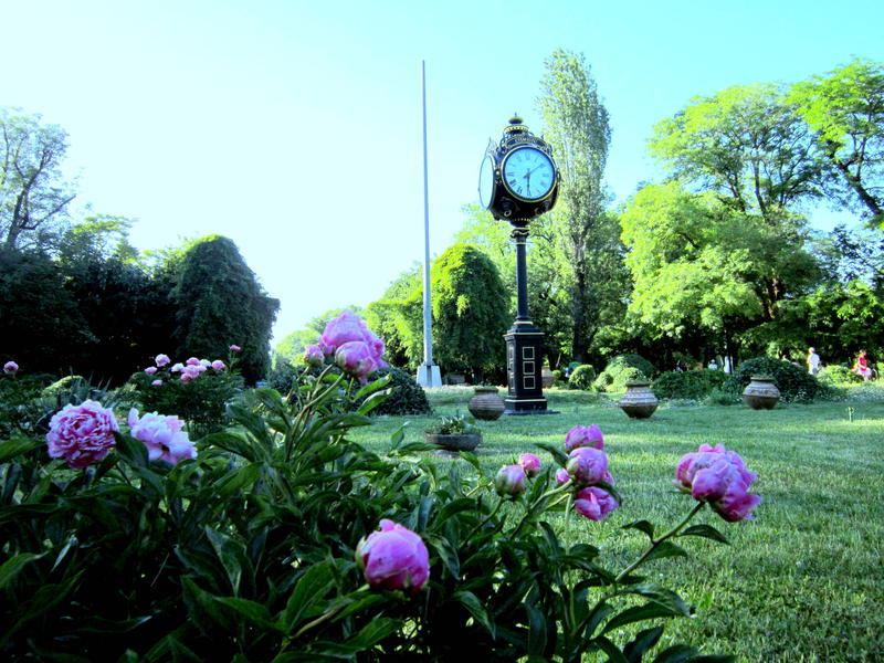 Cismigiu, Foto: USER UPLOADED