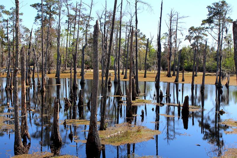 Sam Houston Jones Park, Foto: Vali02