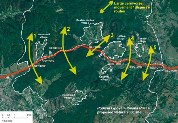 Autostrada Lugoj-Deva si coridoarele pentru animale, Foto: WWF